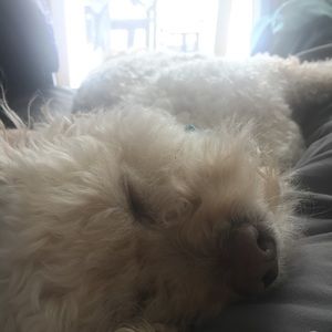 Meet your Posher, Colin